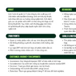 User persona là gì? Ví dụ thực tế về user persona. Hướng dẫn cách tạo user persona hoàn chỉnh. vi-du-thuc-te-user-persona_1