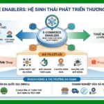 E-commerce Enablers hay Nhà cung cấp dịch vụ phát triển Thương mại Điện tử (TMĐT), là các đối tác bên thứ ba chuyên quản lý các chức năng thương mại kỹ thuật số cụ thể hoặc toàn diện (end-to-end).